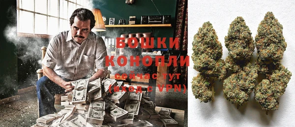 соль ск Богданович