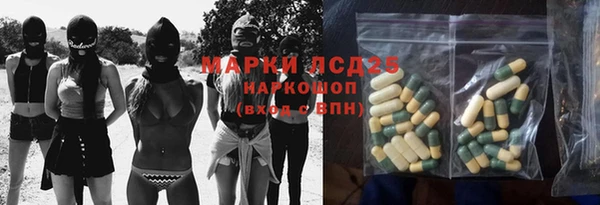 соль ск Богданович