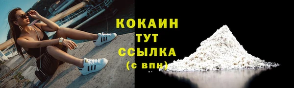 соль ск Богданович