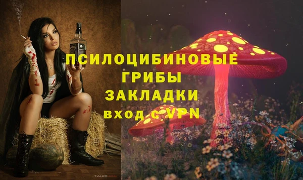 соль ск Богданович