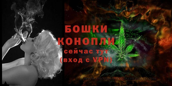 соль ск Богданович