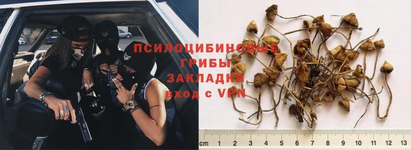 каннабис Тобольск
