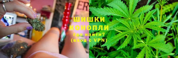 соль ск Богданович