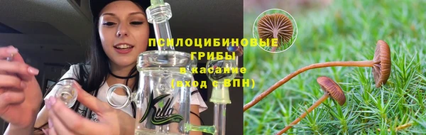 ALPHA-PVP Богородицк