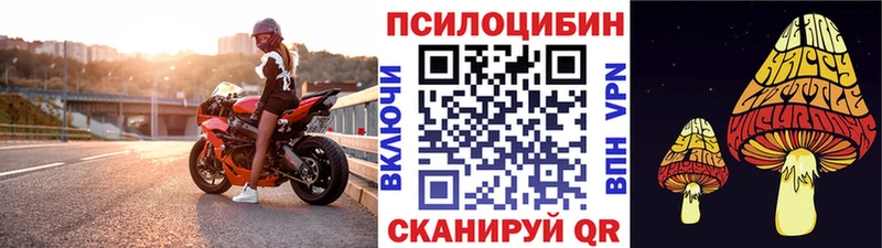 Галлюциногенные грибы Magic Shrooms  цены   Оха 